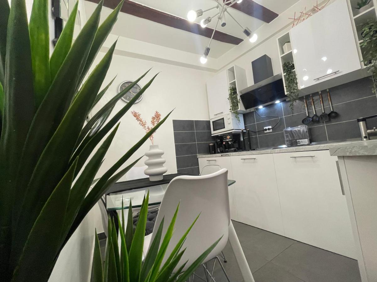 Penzion Spalatum New Chic & With Kitchen And Terrace - Centre